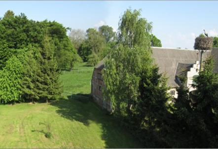 Fewo Gut Zarrentin Zarrentin  Esterno foto